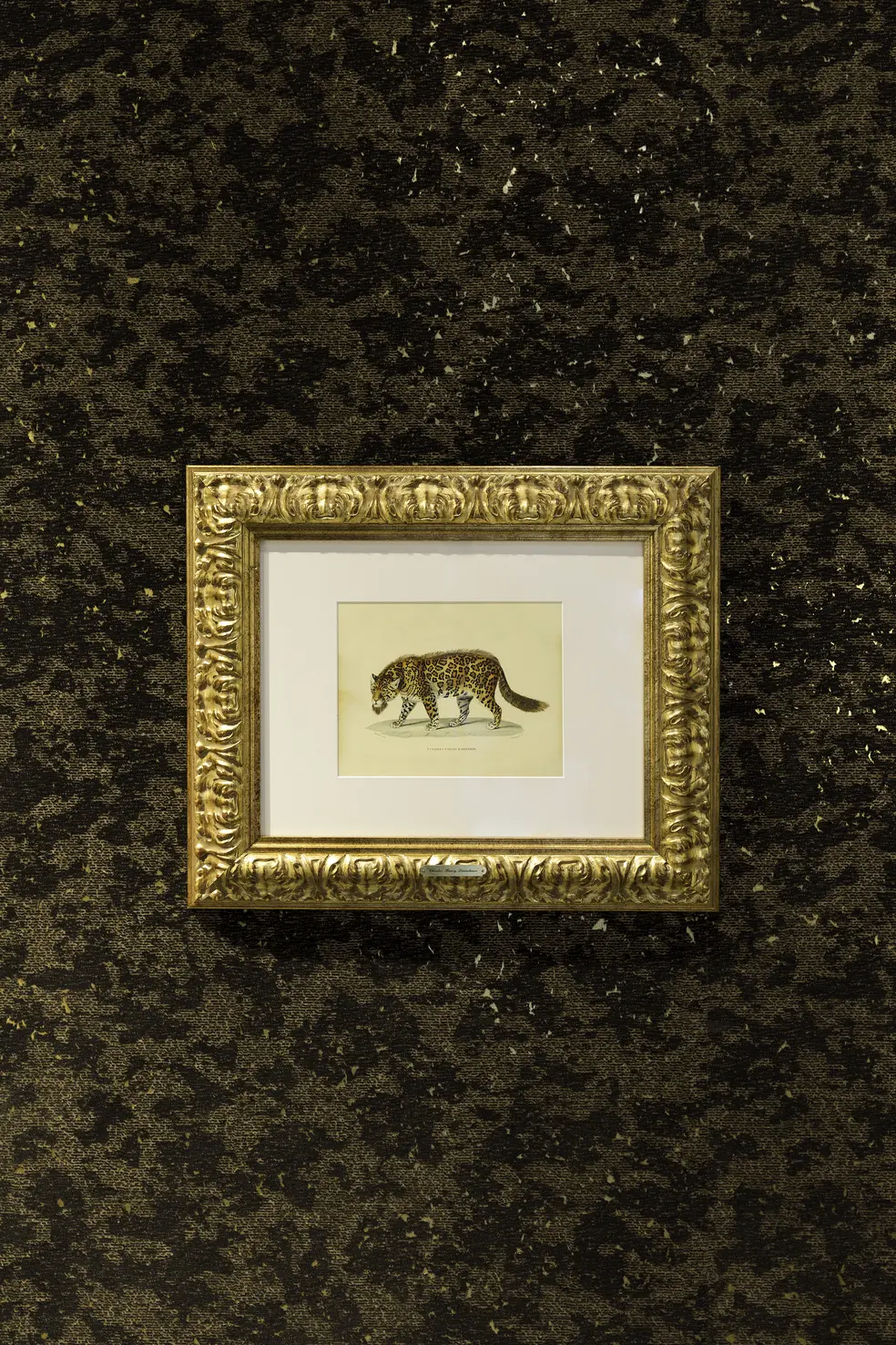 Bearded Leopard Wallcovering - Moooi
