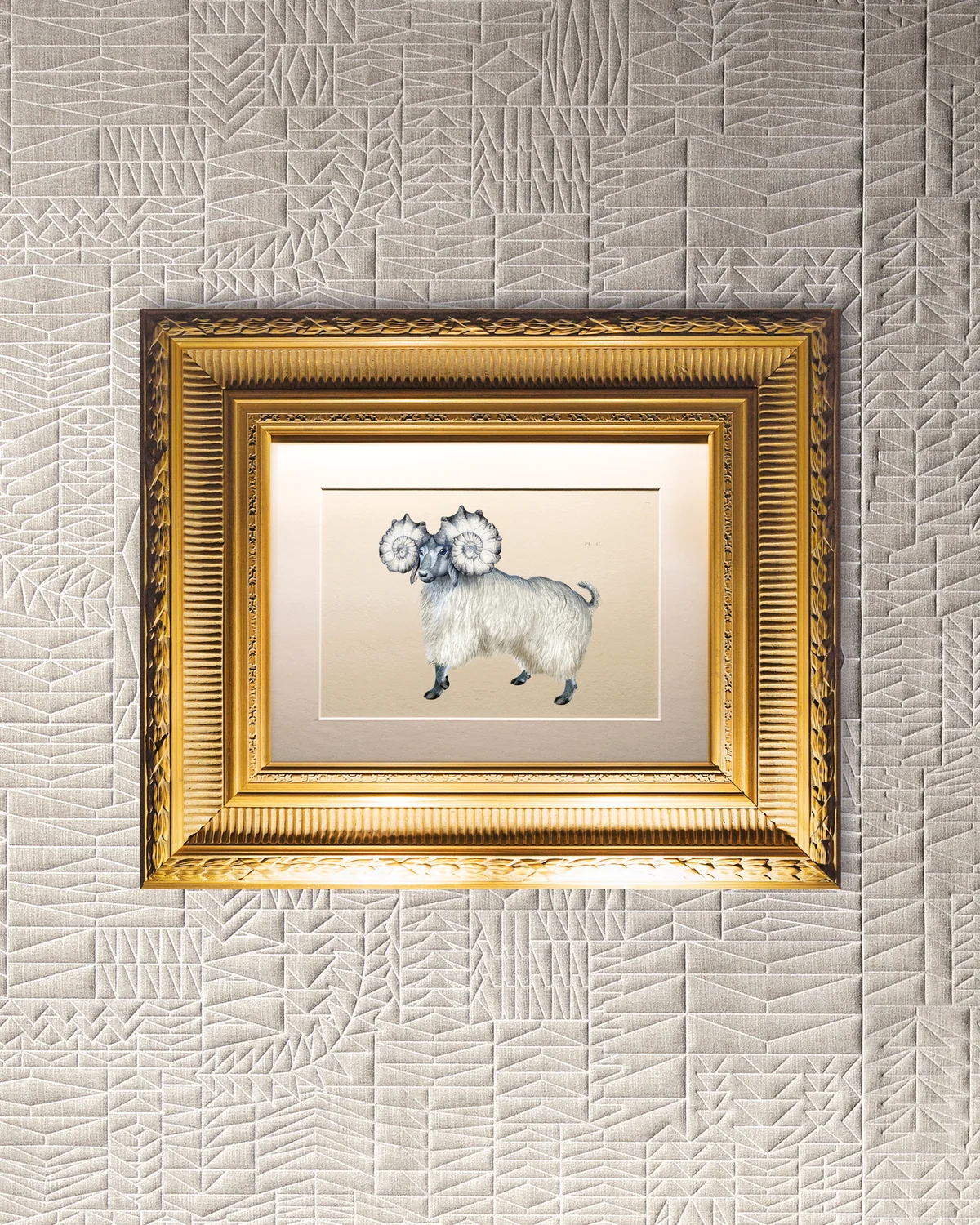 Pogo Goat Wallcovering with drawing of animal in frame