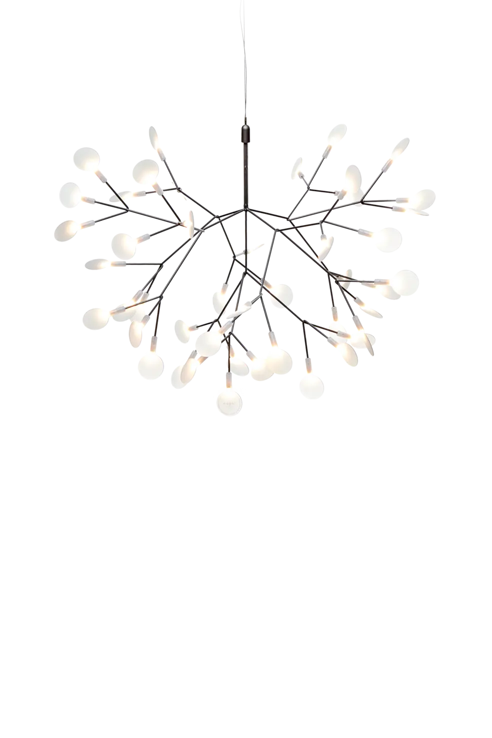 Heracleum III small in nikkel
