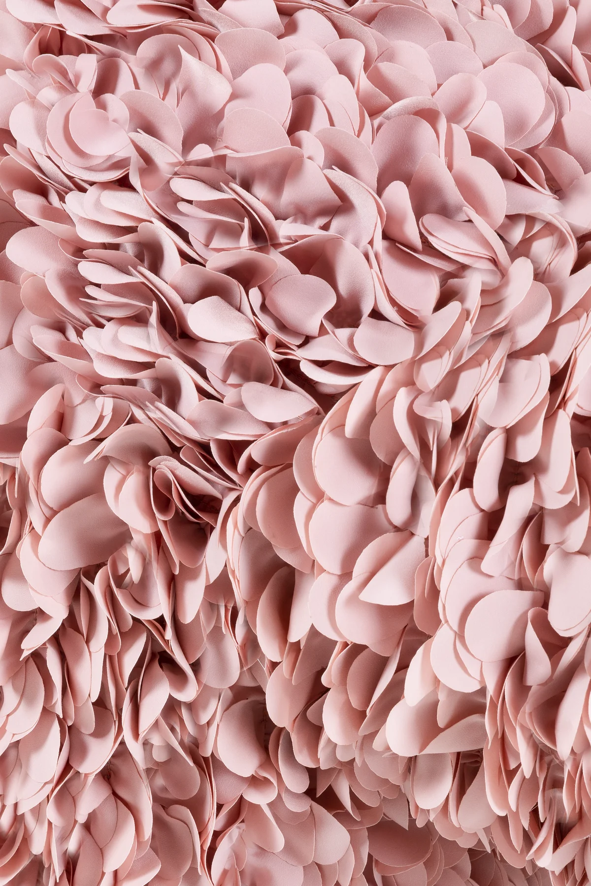 Hortensia Petal Pink