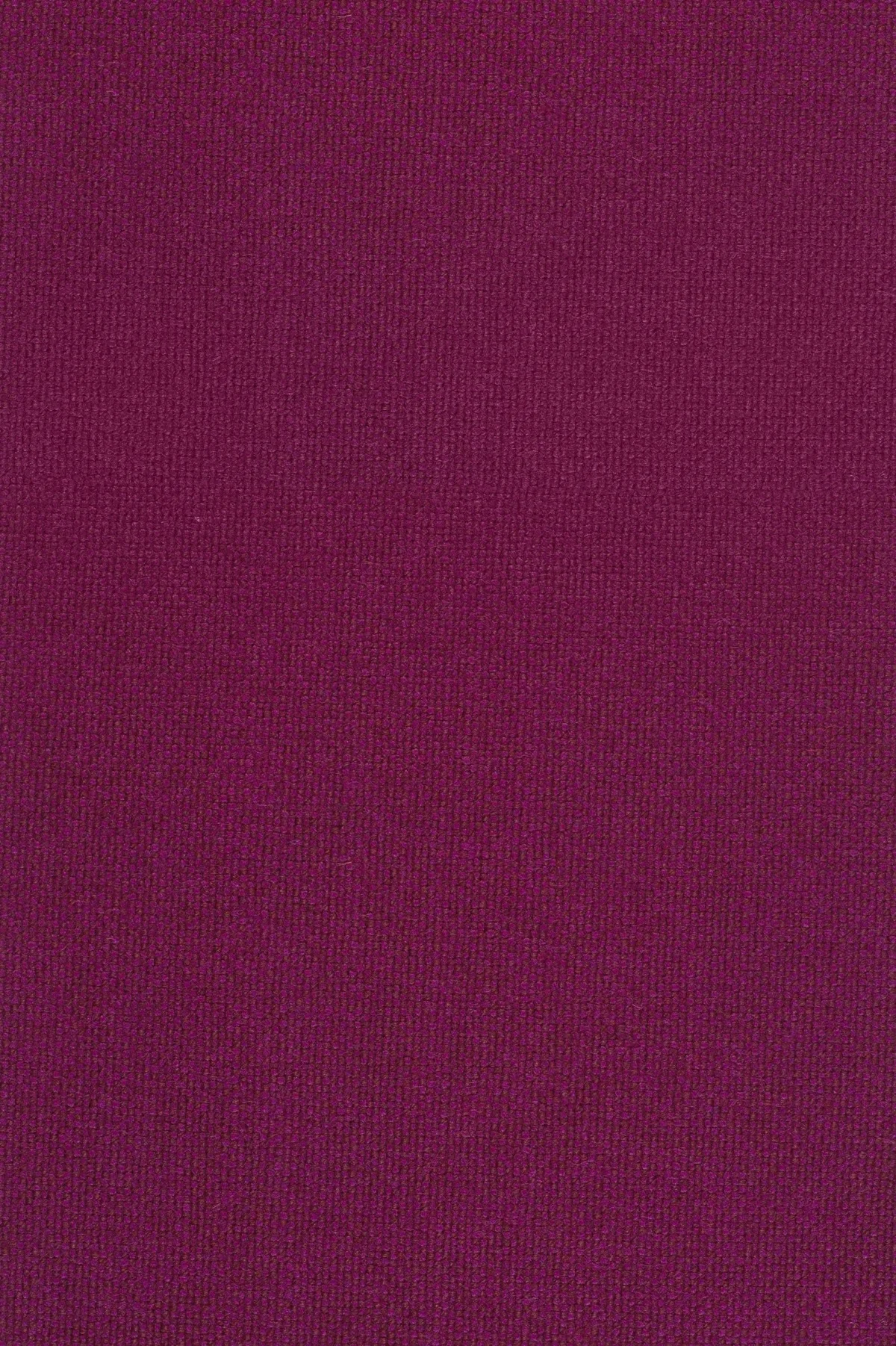 Fabric sample Hallingdal 65 573 purple