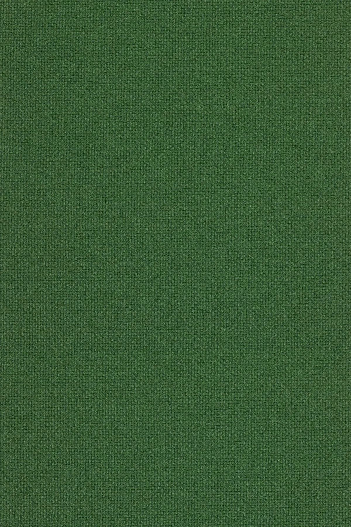 Fabric sample Hallingdal 65 944 green
