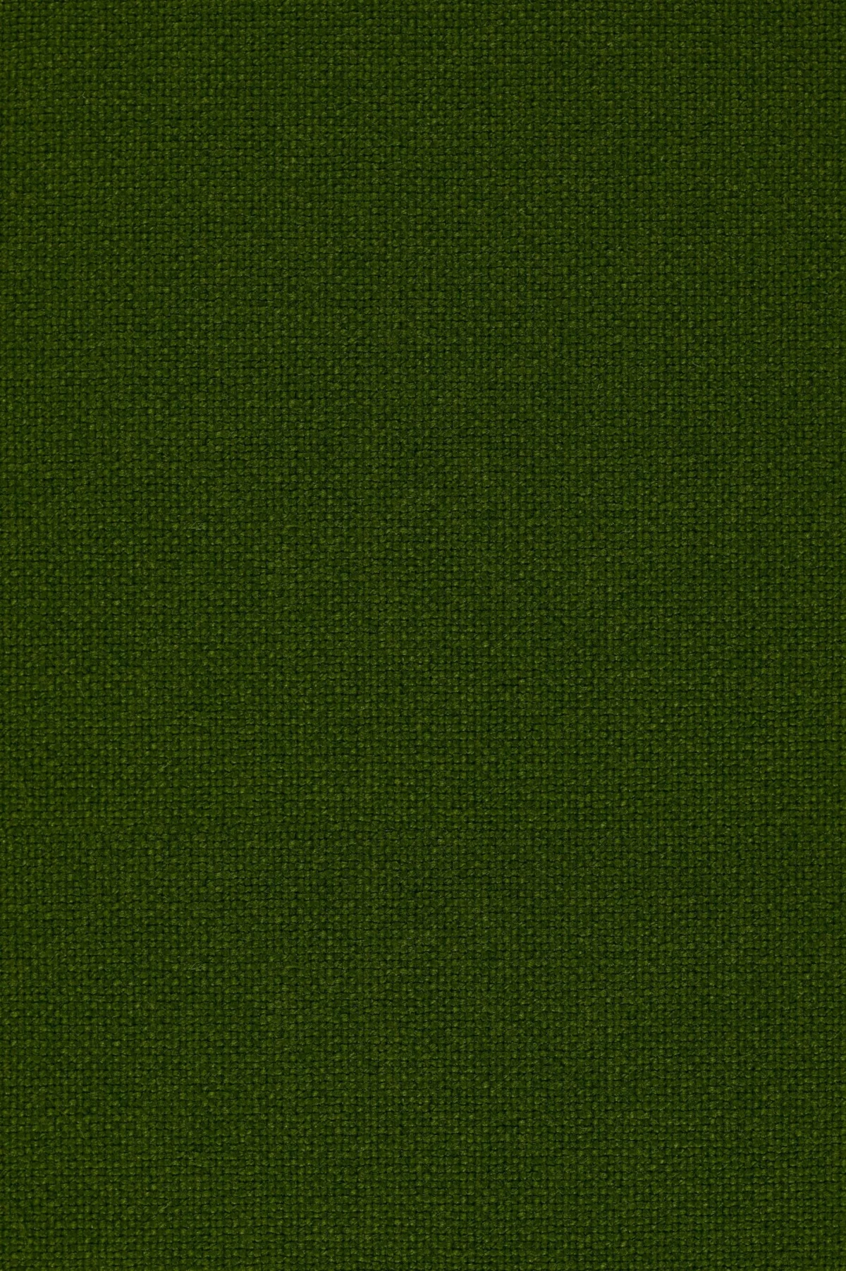 Fabric sample Hallingdal 65 960 green