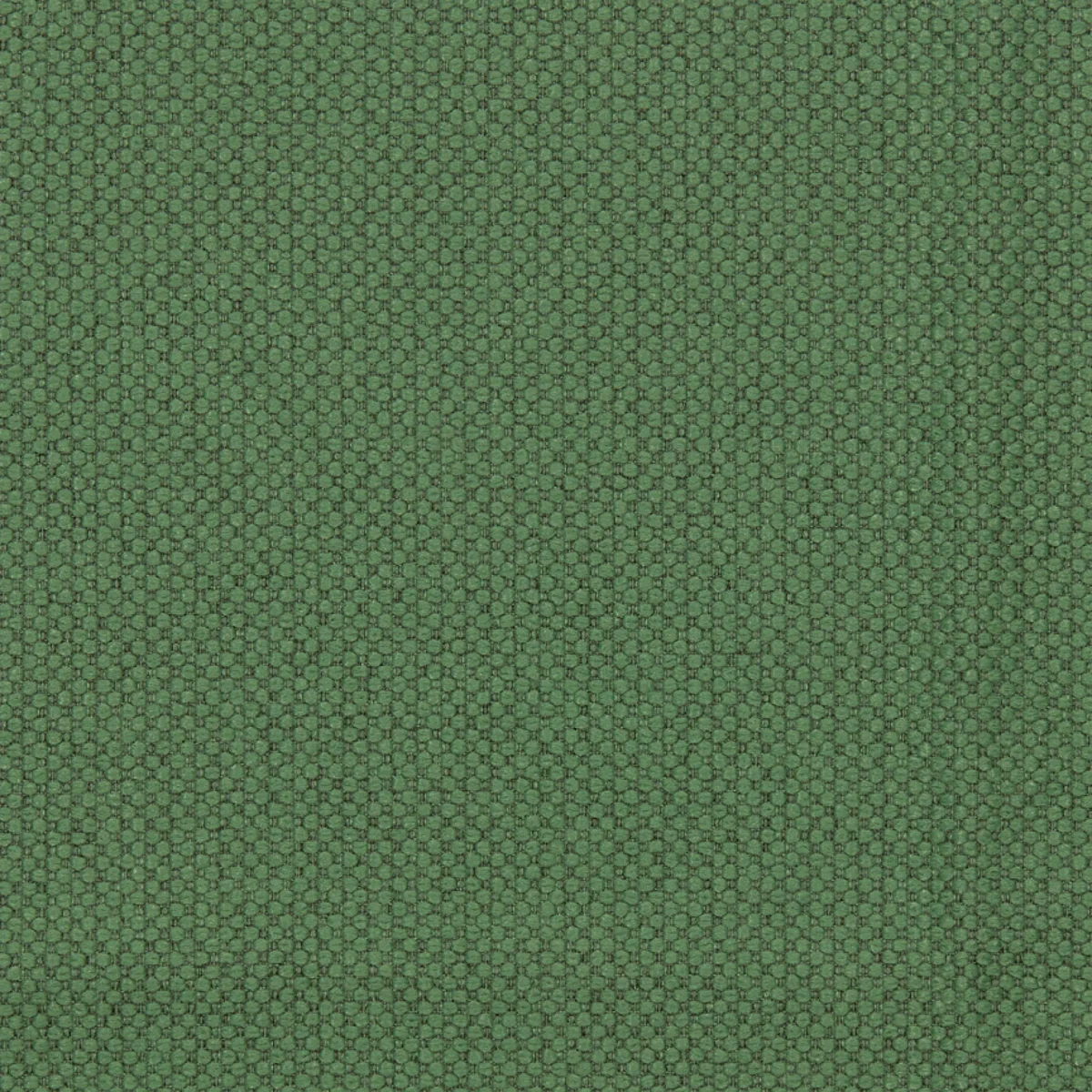 Fabric sample Merit 0020 green